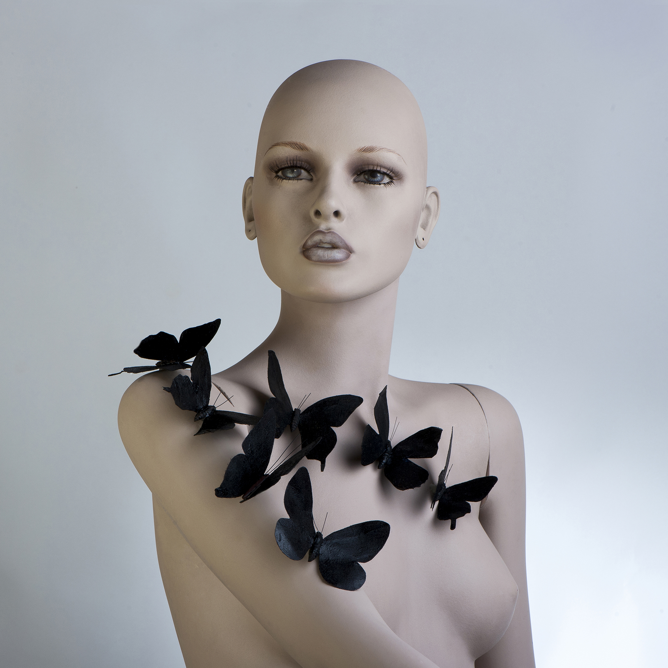 Ruggiero_Emily con 7 farfalle nere 1